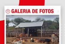 📷Galería de fotos | Biotal continúa su gira técnica por Cuevo