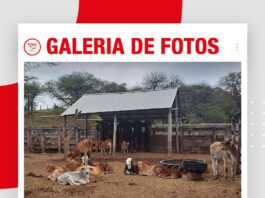 📷Galería de fotos | Biotal continúa su gira técnica por Cuevo