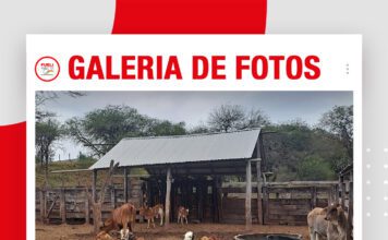 📷Galería de fotos | Biotal continúa su gira técnica por Cuevo