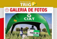 📷Galería de fotos | CIAT con la variedad más sembrada Motacú