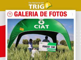 📷Galería de fotos | CIAT con la variedad más sembrada Motacú