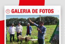 📷Galería de fotos | CONSTRUYENDO SUELOS PRODUCTIVOS