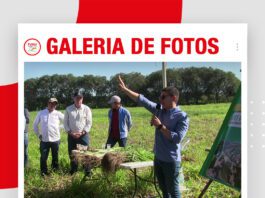 📷Galería de fotos | CONSTRUYENDO SUELOS PRODUCTIVOS