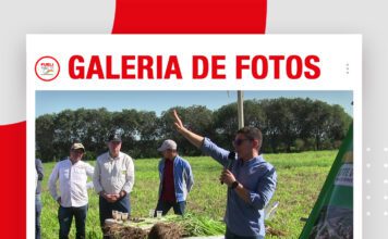 📷Galería de fotos | CONSTRUYENDO SUELOS PRODUCTIVOS