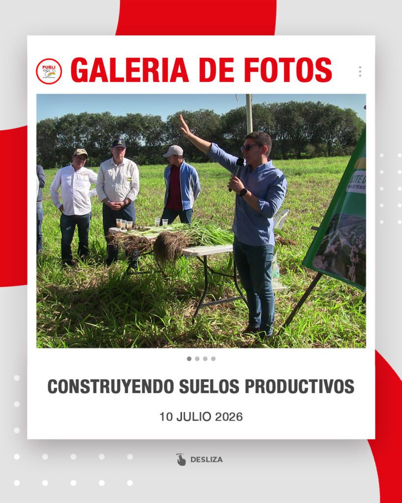 CONSTRUYENDO-SUELOS-PRODUCTIVOS0
