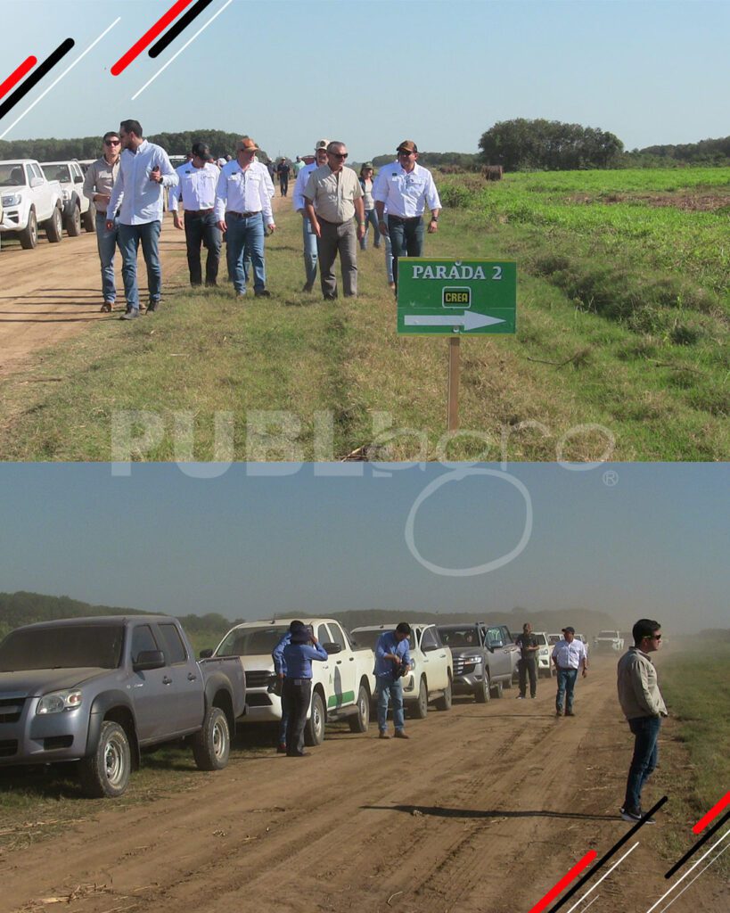 CONSTRUYENDO-SUELOS-PRODUCTIVOS1
