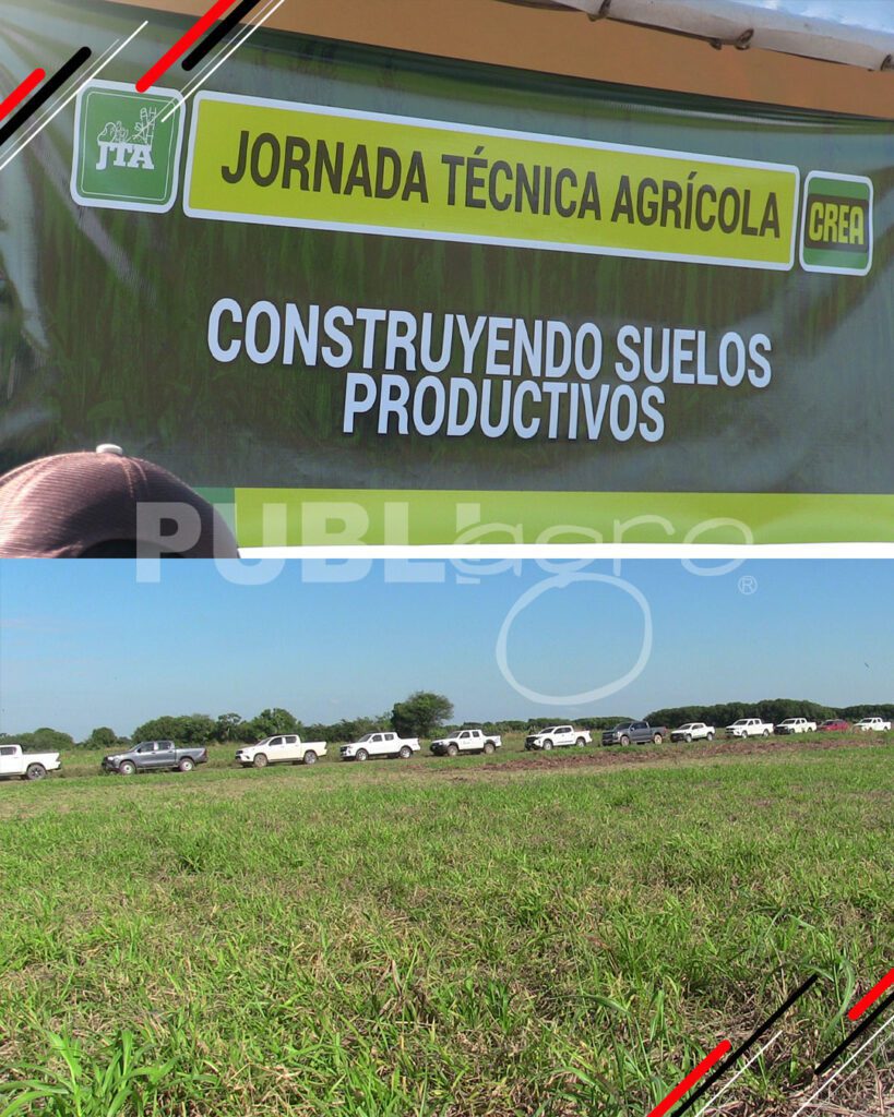 CONSTRUYENDO-SUELOS-PRODUCTIVOS19