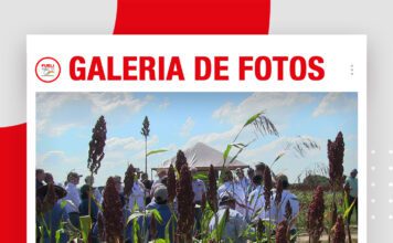 📷Galería de fotos | CULTIVOS DE INVIERNO: INTEGRANDO PRODUCCIÓN Y COBERTURA