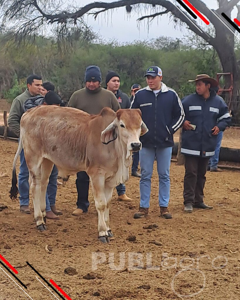 Charlas-Técnicas-Productivas-en-Cuevo20