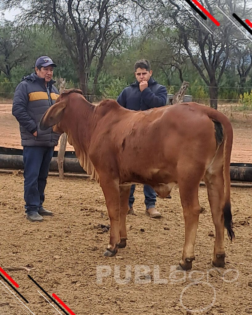 Charlas-Técnicas-Productivas-en-Cuevo21