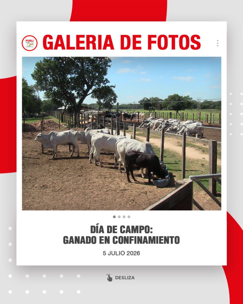 Día-de-Campo-Ganado-en-confinamiento0