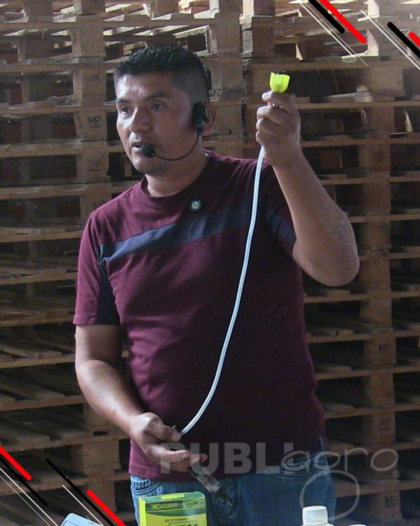 Día-de-Campo-Ganado-en-confinamiento11