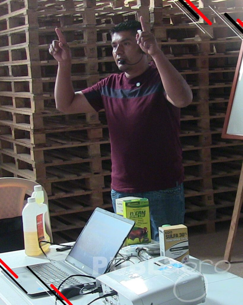 Día-de-Campo-Ganado-en-confinamiento13