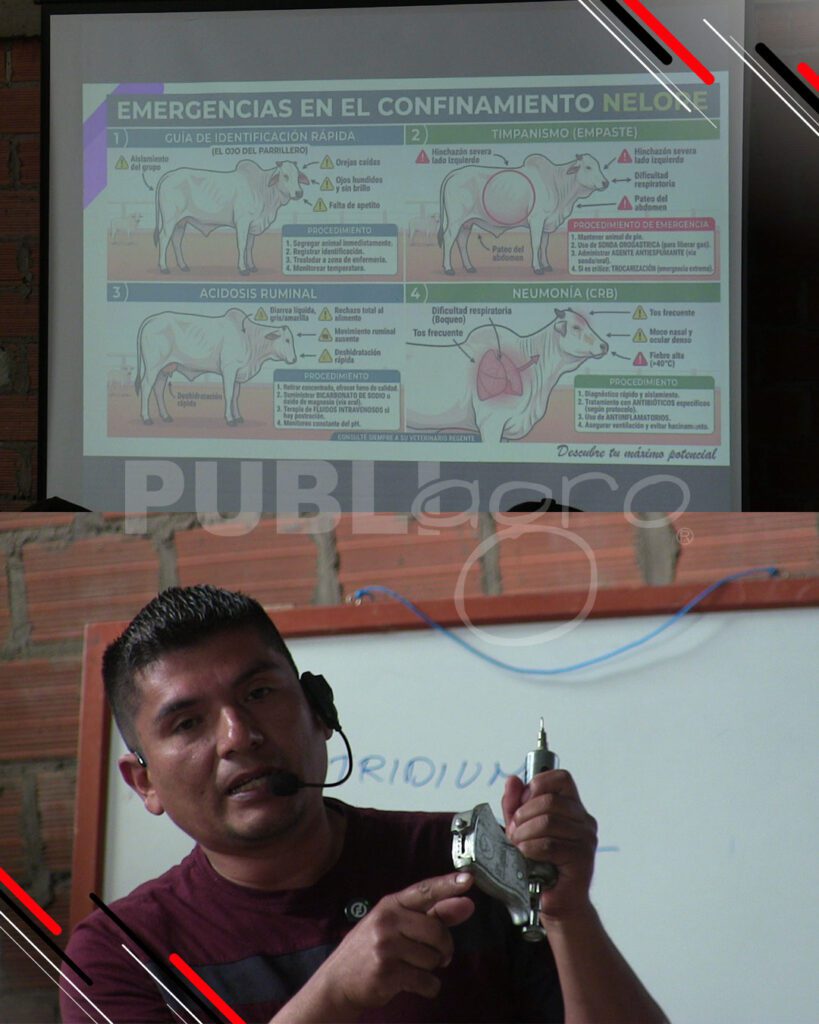 Día-de-Campo-Ganado-en-confinamiento14