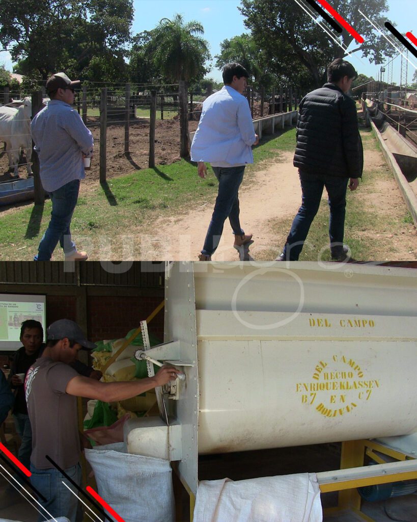 Día-de-Campo-Ganado-en-confinamiento22