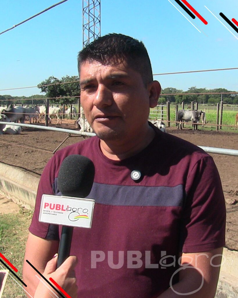 Día-de-Campo-Ganado-en-confinamiento34
