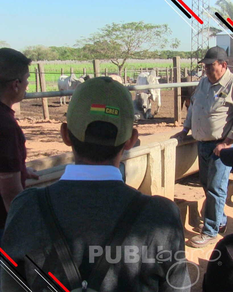 Día-de-Campo-Ganado-en-confinamiento39