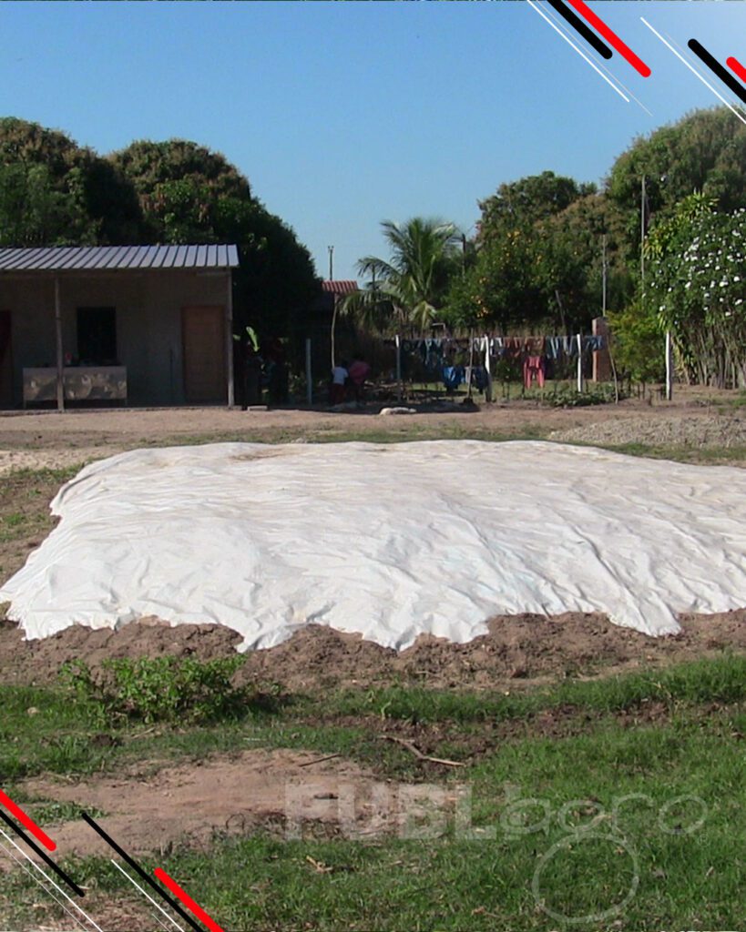 Día-de-Campo-Ganado-en-confinamiento44