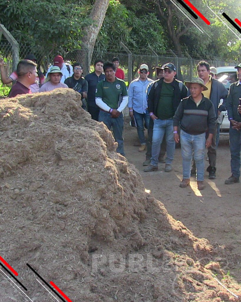 Día-de-Campo-Ganado-en-confinamiento45