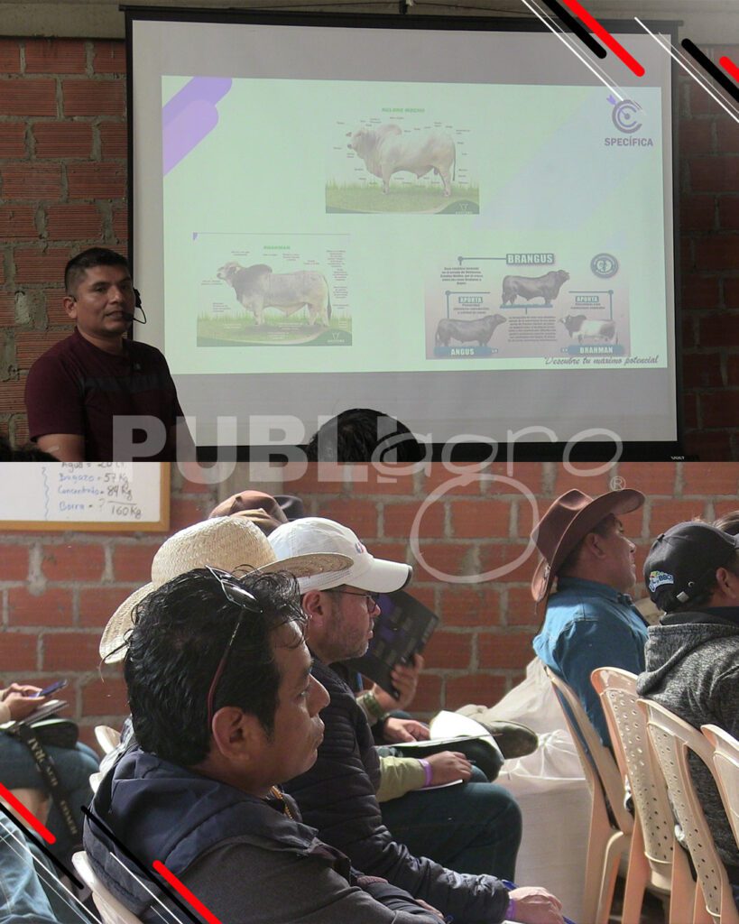 Día-de-Campo-Ganado-en-confinamiento7