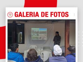 📷Galería de fotos | Estrategias nutricionales para alta producción