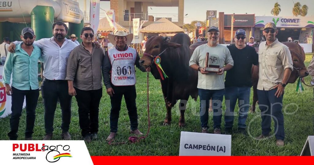 Felicidad en el equipo que trabaja con los ejemplares Sindi en la cabaña El Trébol/ Foto: Publiagro