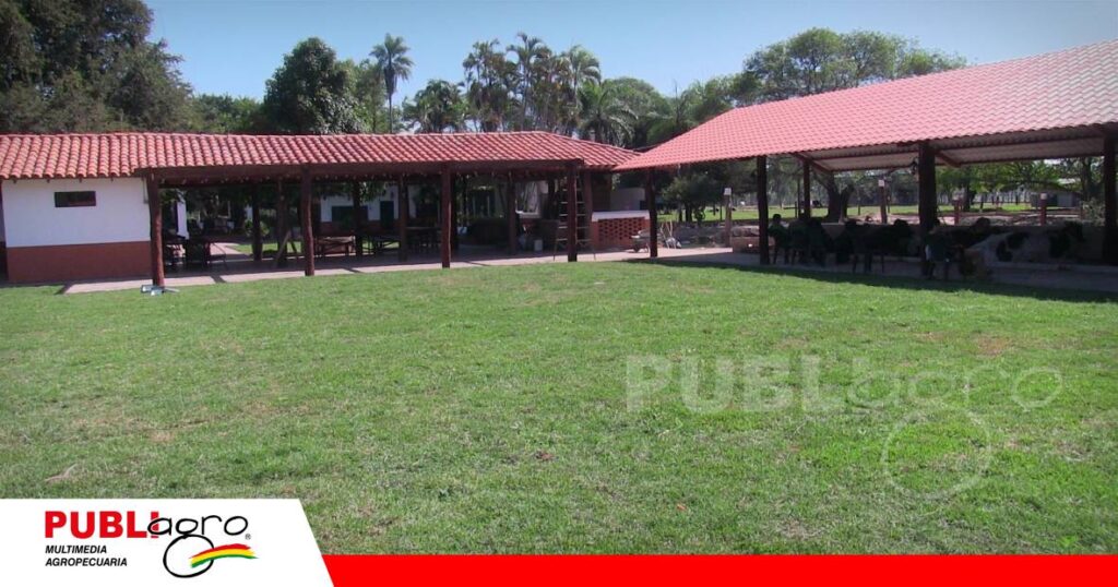 El escenario para el gran remate Girolando Nacional ya se prepara/ Foto: Publiagro