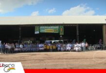 CREA Bolivia lleva al campo soluciones para recuperar suelos y producir más CREA Bolivia apuesta por una agricultura con más conocimiento/ Foto: Publiagro