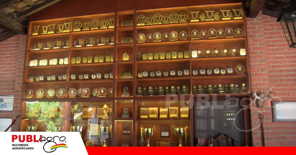 Las Maras es la casa de las campeonas, así lo demuestran los premios y trofeos/ Foto: Publiagro