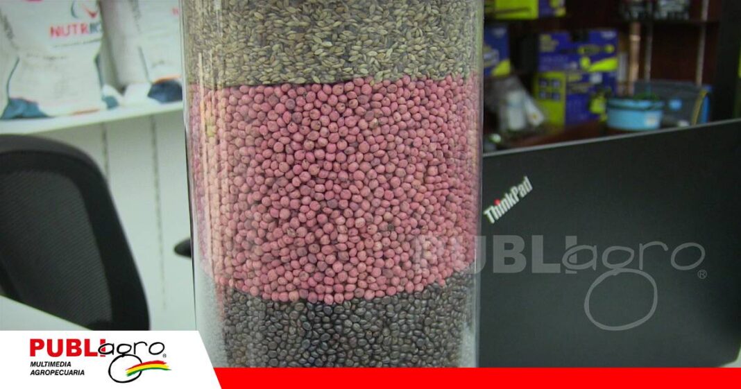 FOTO NOTAS WEB - 2026-07-04T153532.098 Calidad y exportación de semillas/ Foto: Publiagro