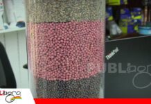 Nuevo laboratorio impulsará la calidad y exportación de semillas en Bolivia Calidad y exportación de semillas/ Foto: Publiagro