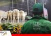 Genética de excelencia marcó el segundo remate Vaquillas Top de Hacienda Nelorí Hacienda Nelorí comercializa con éxito sus 40 Vaquillas Top/ Foto: Publiagro