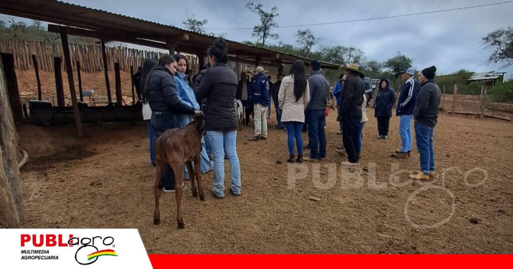 Gira técnica acerca nuevas tecnologías a productores de Cuevo/ Foto: Publiagro