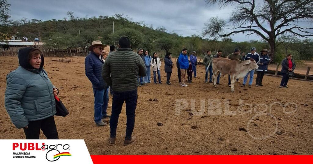 Compartir experiencias para crecer/ Foto: Publiagro