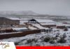 Nevada deja 750 familias damnificadas y golpea a la ganadería en Potosí La nieve golpea al sudoeste potosino /Foto: Internet