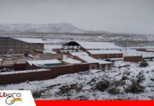 Nevada deja 750 familias damnificadas y golpea a la ganadería en Potosí La nieve golpea al sudoeste potosino /Foto: Internet