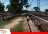 Más que encerrar ganado: se debe diseñar un sistema eficiente La infraestructura transforma kilos en rentabilidad/Foto: Publiagro