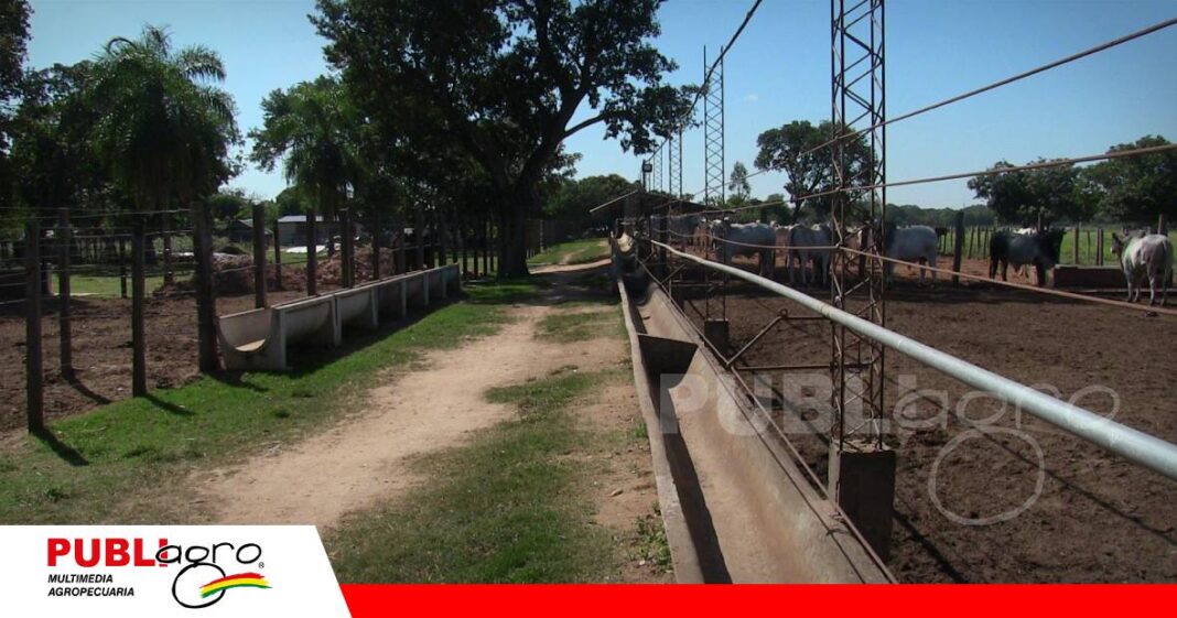FOTO NOTAS WEB - 2026-07-06T201523.709 La infraestructura transforma kilos en rentabilidad/Foto: Publiagro