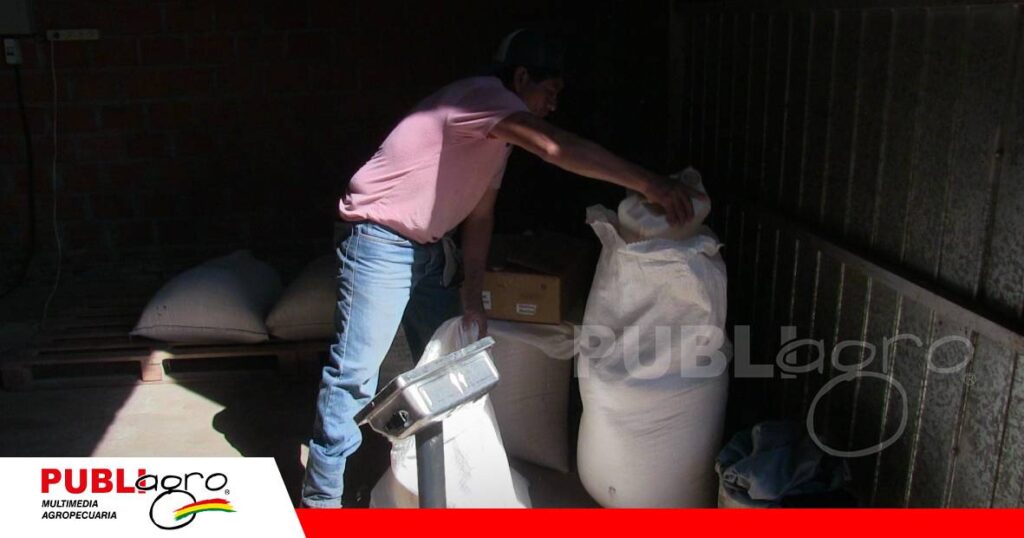 FOTO NOTAS WEB - 2026-07-07T121509.341 Debe realizarse una medida y pesaje del alimento/ Foto: Publiagro