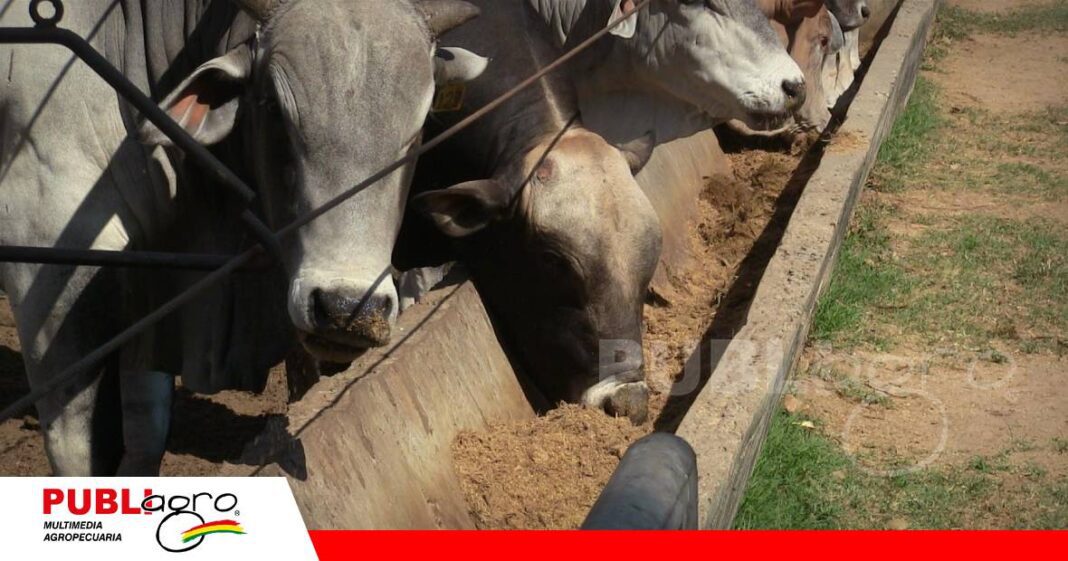 Una mala adaptación al confinamiento puede provocar acidosis y timpanismo/Foto: Publiagro