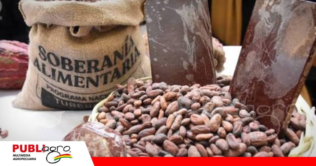 Cacao boliviano fortalece su presencia en los mercados internacionales/ Foto: Internet