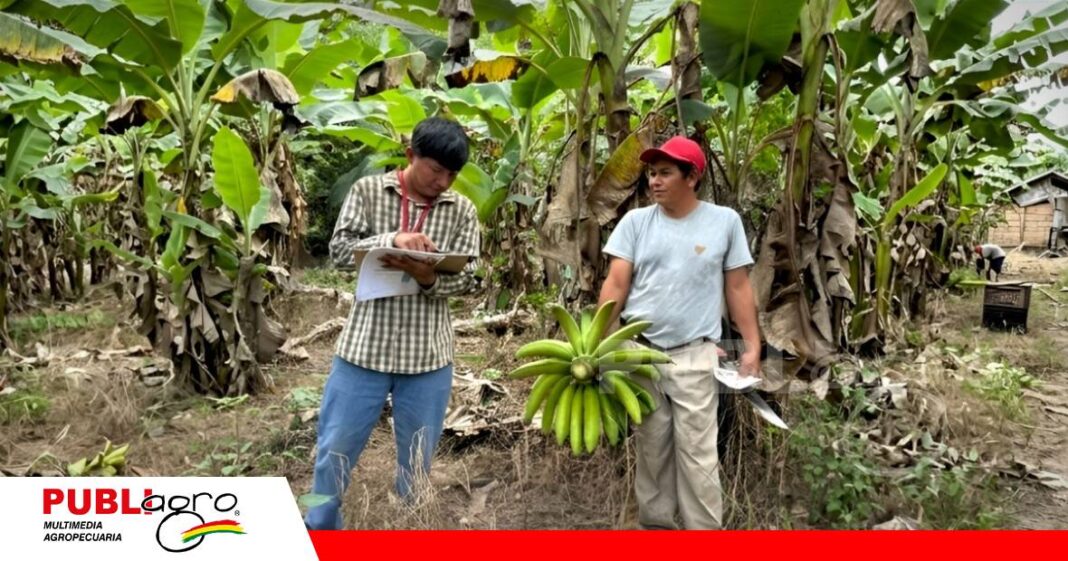 Censo Agropecuario en Bolivia/ Foto: Internet