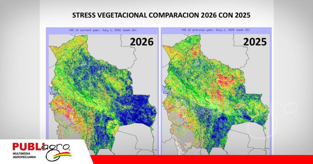 Pronósticos climáticos advierten cambios en el régimen de lluvias en Bolivia/ Foto: Anapo