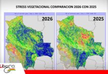 Anticipación y planificación, las claves para enfrentar el fenómeno de El Niño Pronósticos climáticos advierten cambios en el régimen de lluvias en Bolivia/ Foto: Anapo
