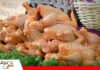 Avicultores de Tarija alertan una crisis por sobreoferta de pollo tras 50 días de bloqueos Sobreoferta de pollo tras los bloqueos/ Foto: Internet