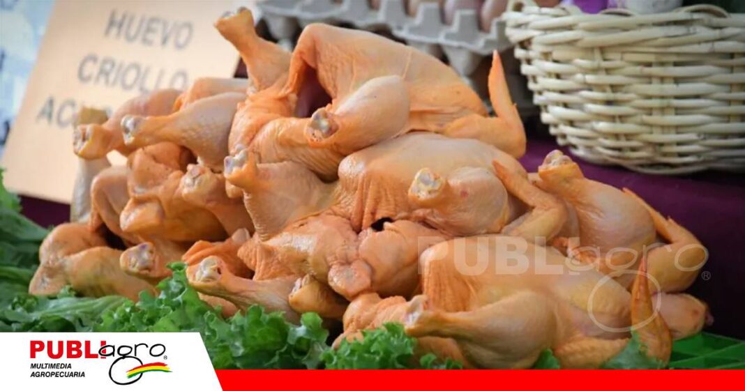 Sobreoferta de pollo tras los bloqueos/ Foto: Internet