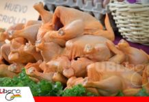 Avicultores de Tarija alertan una crisis por sobreoferta de pollo tras 50 días de bloqueos Sobreoferta de pollo tras los bloqueos/ Foto: Internet