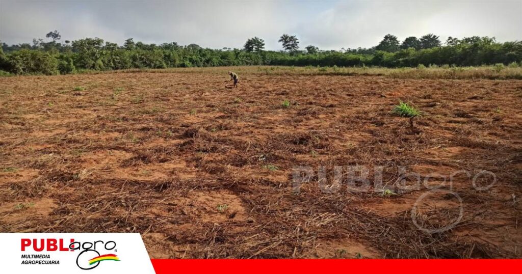 FOTO NOTAS WEB - 2026-07-10T071220.272 Nuevo Plan de Uso de Suelos (PLUS)/ Foto: Publiagro