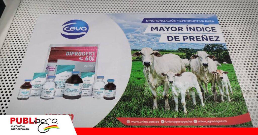 Soluciones especializadas para un productor más competitivo/ Foto: Publiagro