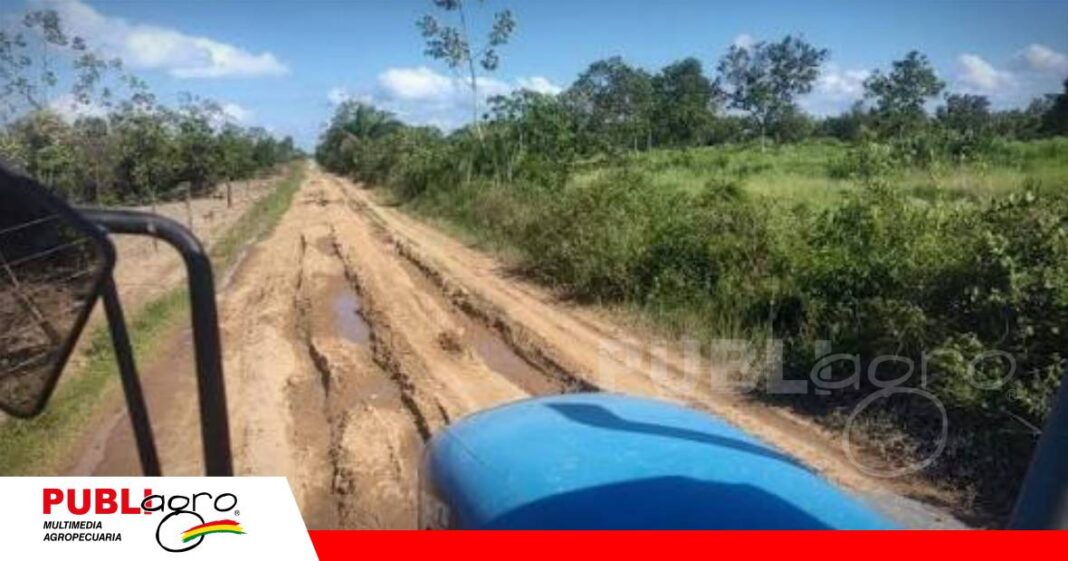 Reyes apuesta por su potencial productivo/ Foto: Internet